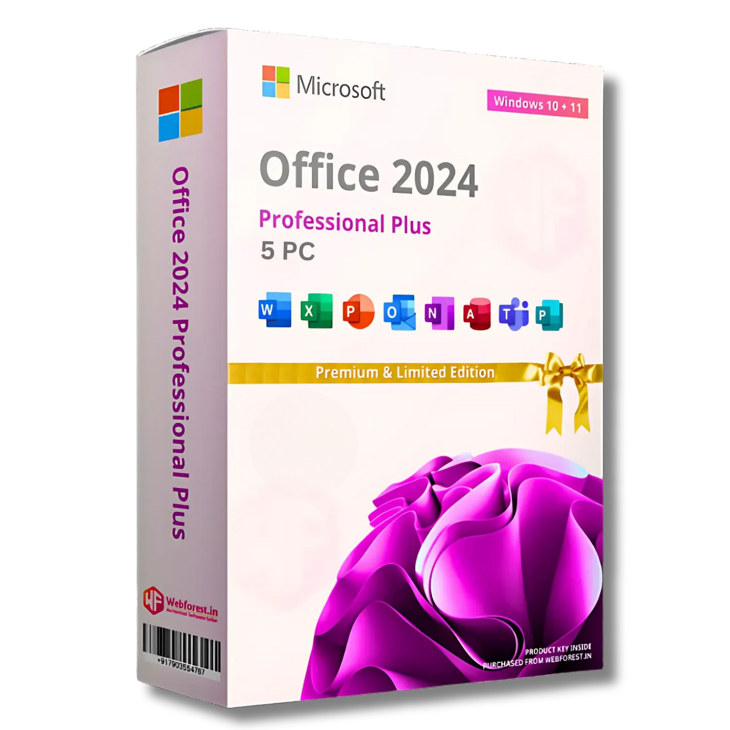 Office 2024 Professional Plus LTSC Original License 1 Key For 5 PC